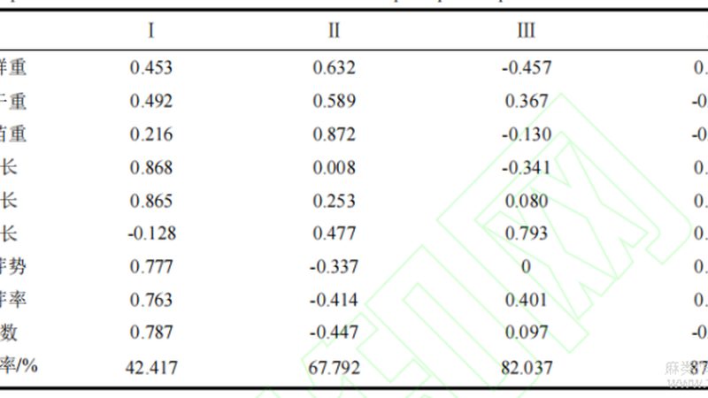 揭秘冷库货架质量关键：选对才是硬道理
